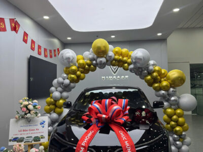 cf6539733a23bb7de23213